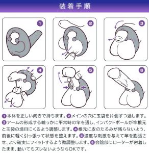 WAD Ray装着方法の説明図