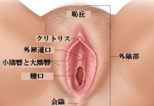マンコの外観と主要部分の説明図